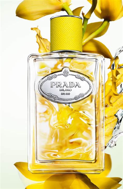 prada infusion dylan|infusion d'ylang.